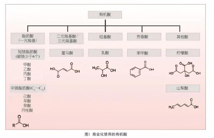可以考虑用中链脂肪酸来提高动物的生产效率和健康