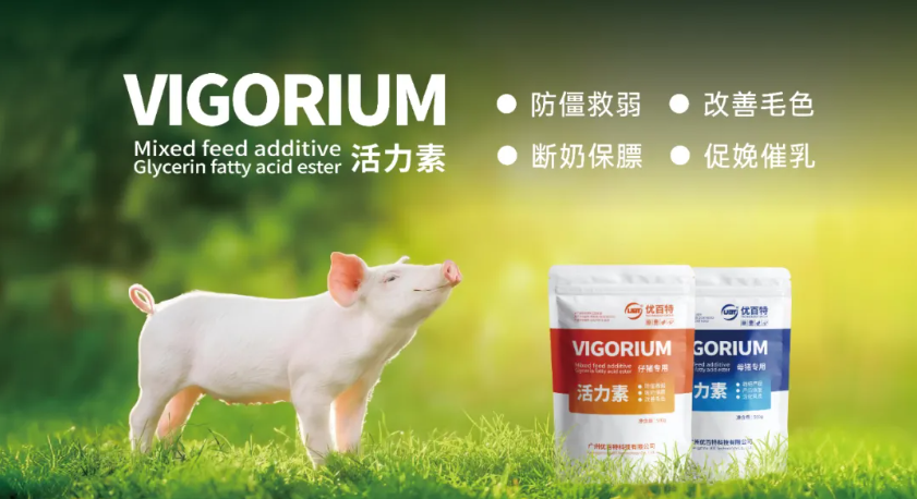 【脂者不惑】解读《中链甘油三酯在动物体内的代谢及应用研究》论文综述