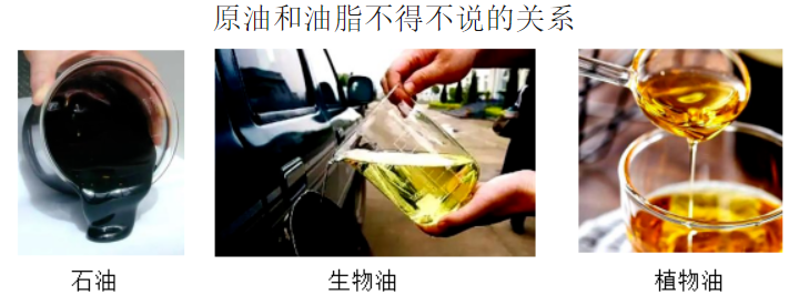 原油和油脂不得不说的关系