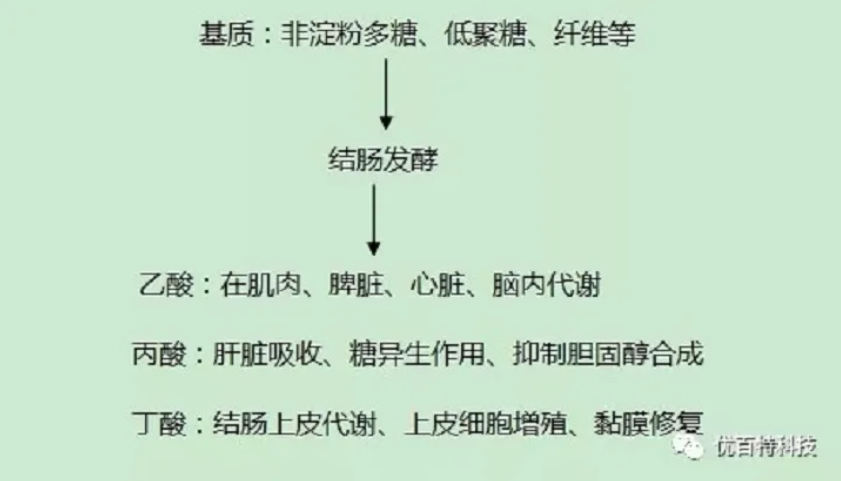 【科普】对动物具有特殊功效的短链脂肪酸