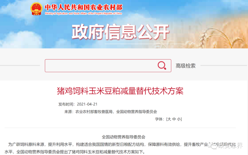 贵！贵！贵！玉米豆粕还可以拿什么替代？