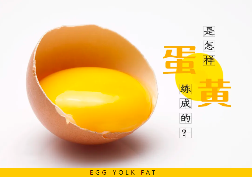【油点意思】蛋鸡脂肪肝形成的真正原因？