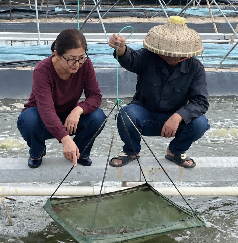 优百特开展春季大刺鳅养殖技术服务，重点排查水质与摄食管理问题
