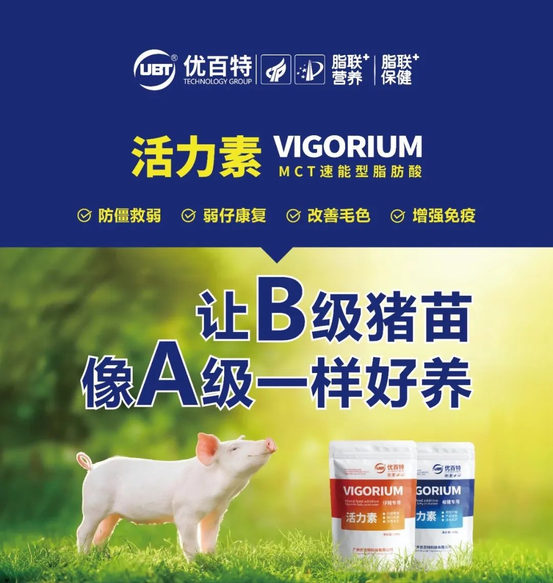 图片 91.jpg