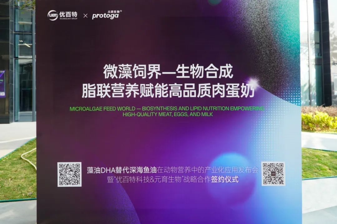 图片 2.jpg
