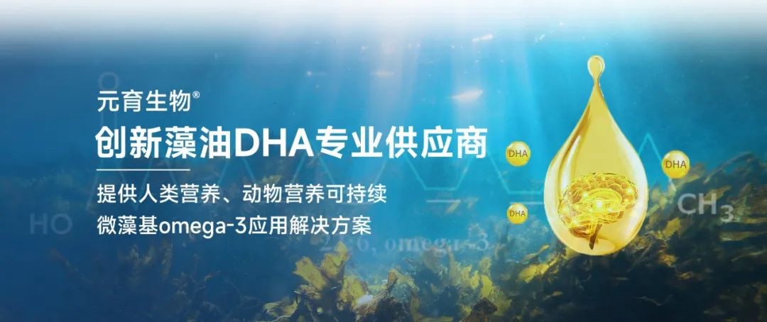 图片 6.jpg