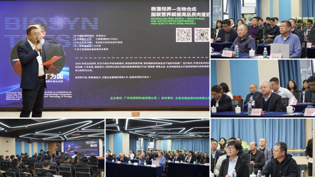 图片 7.jpg