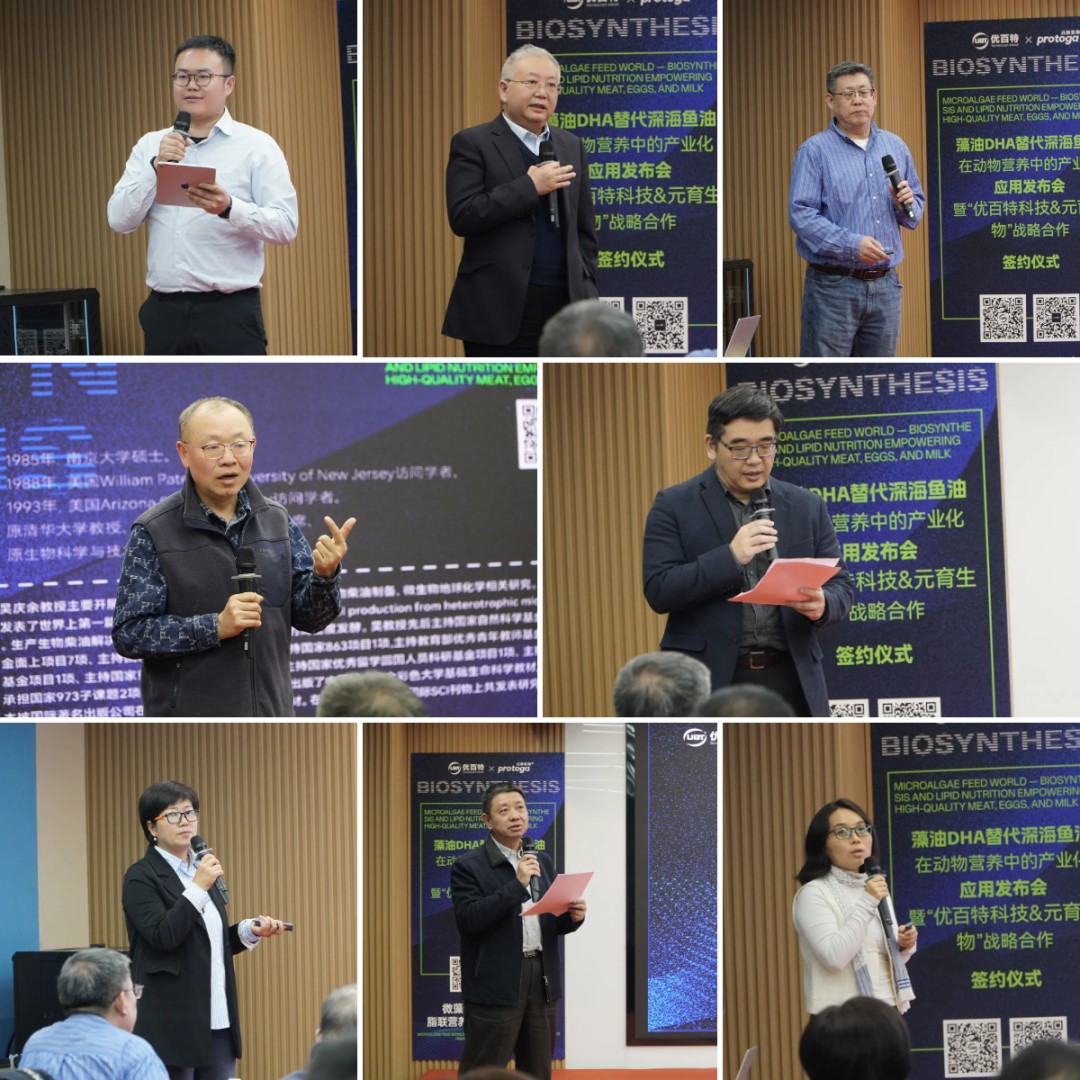 图片 9.jpg