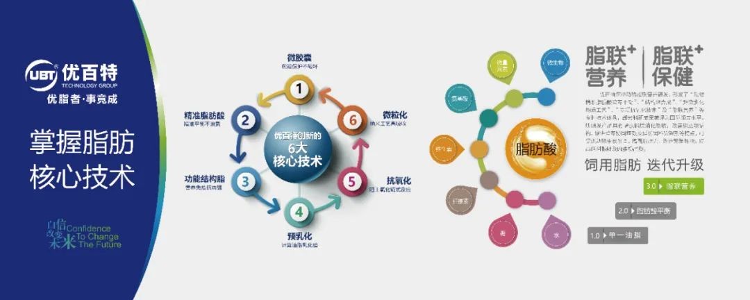 图片 19.jpg