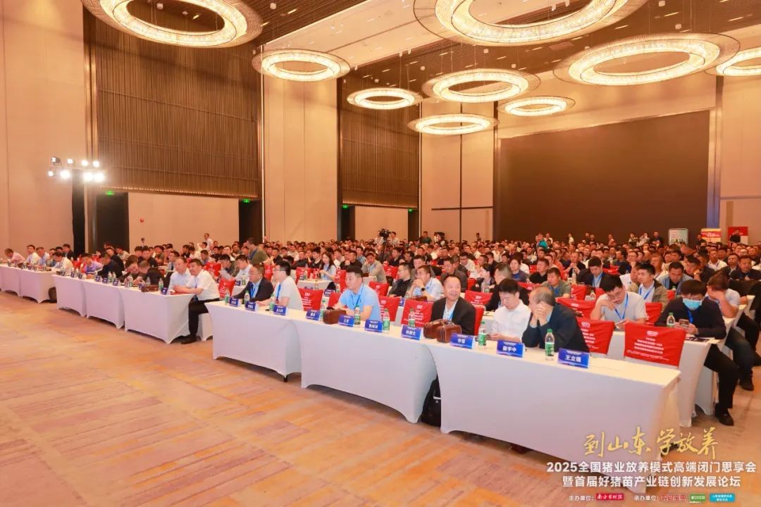 图片 27.jpg