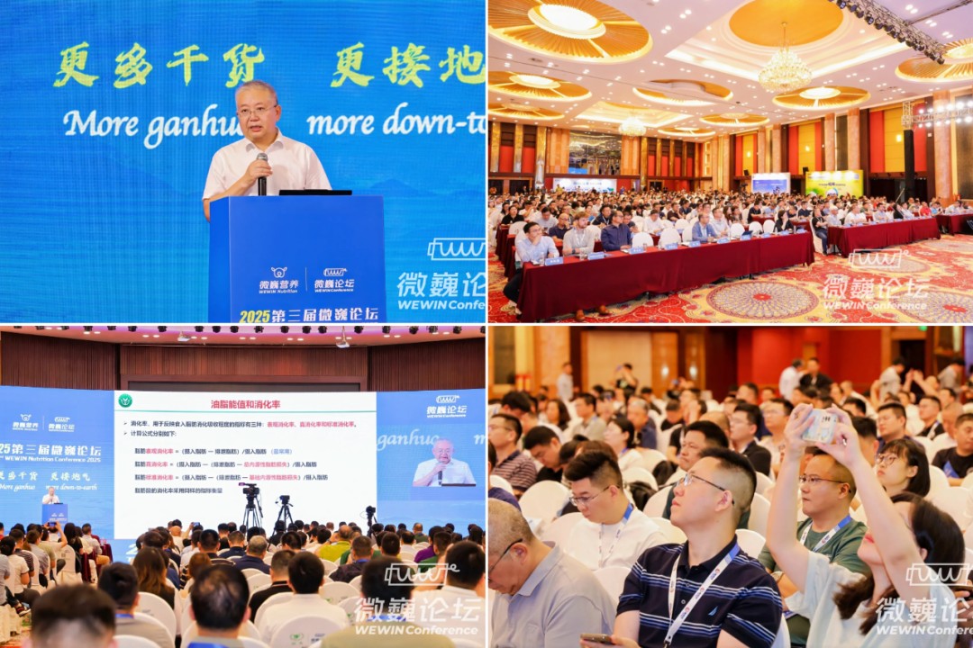 图片 31.jpg