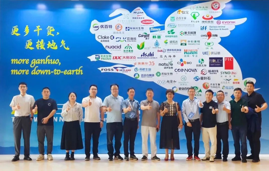 图片 33.jpg