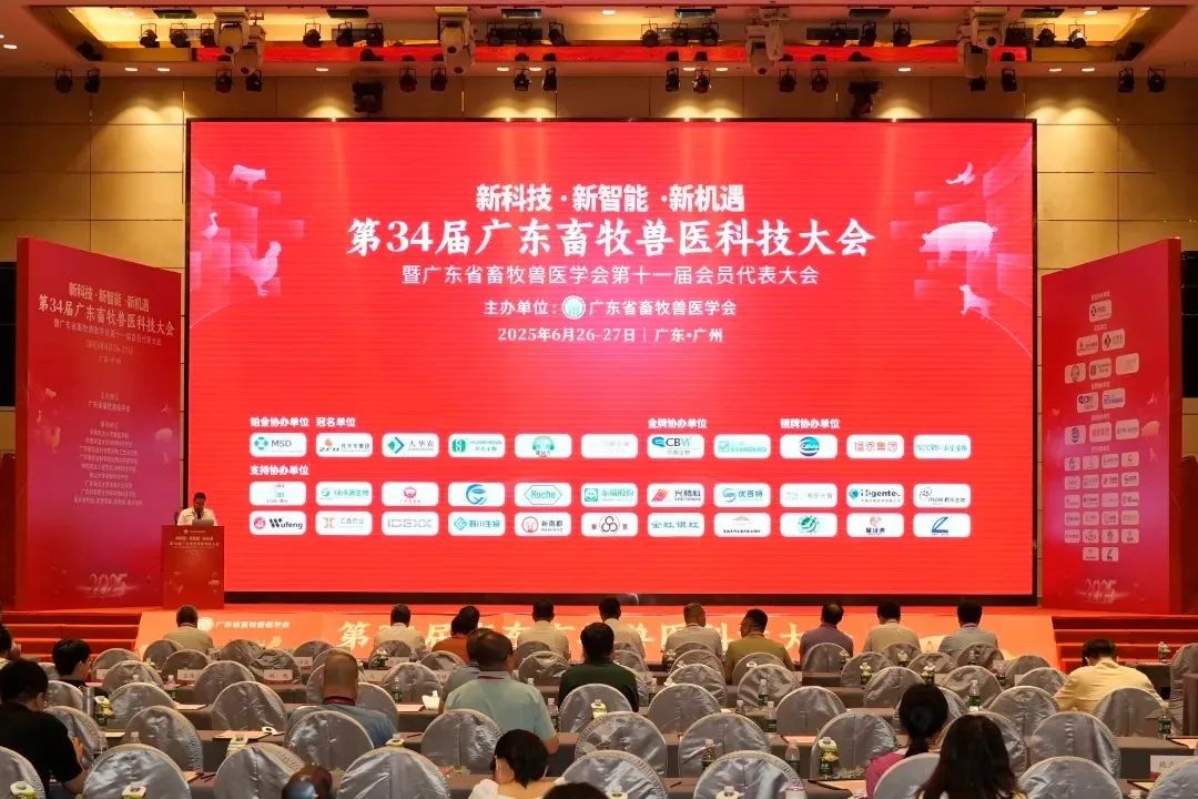 图片 41.jpg