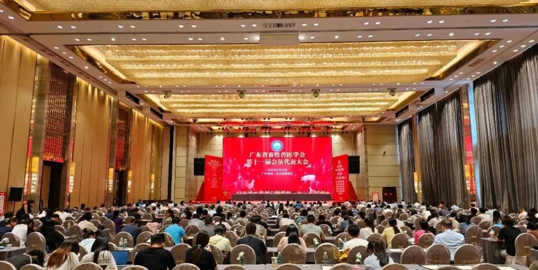 图片 42.jpg