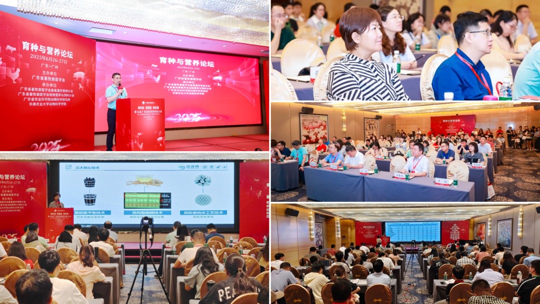 图片 46.jpg