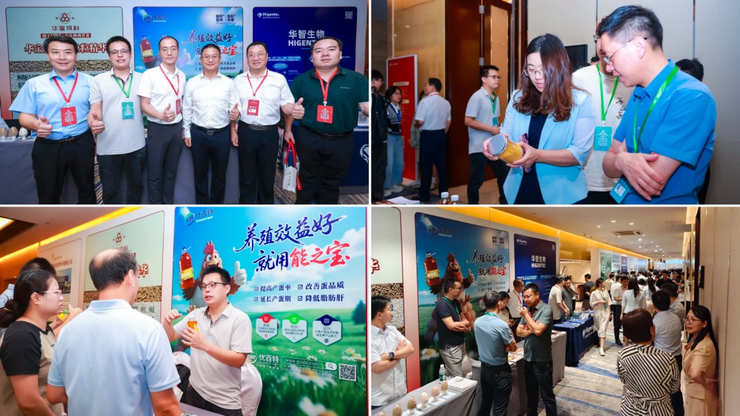 图片 48.jpg