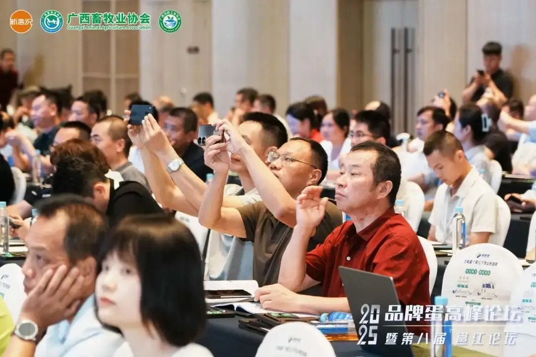 图片 55.jpg