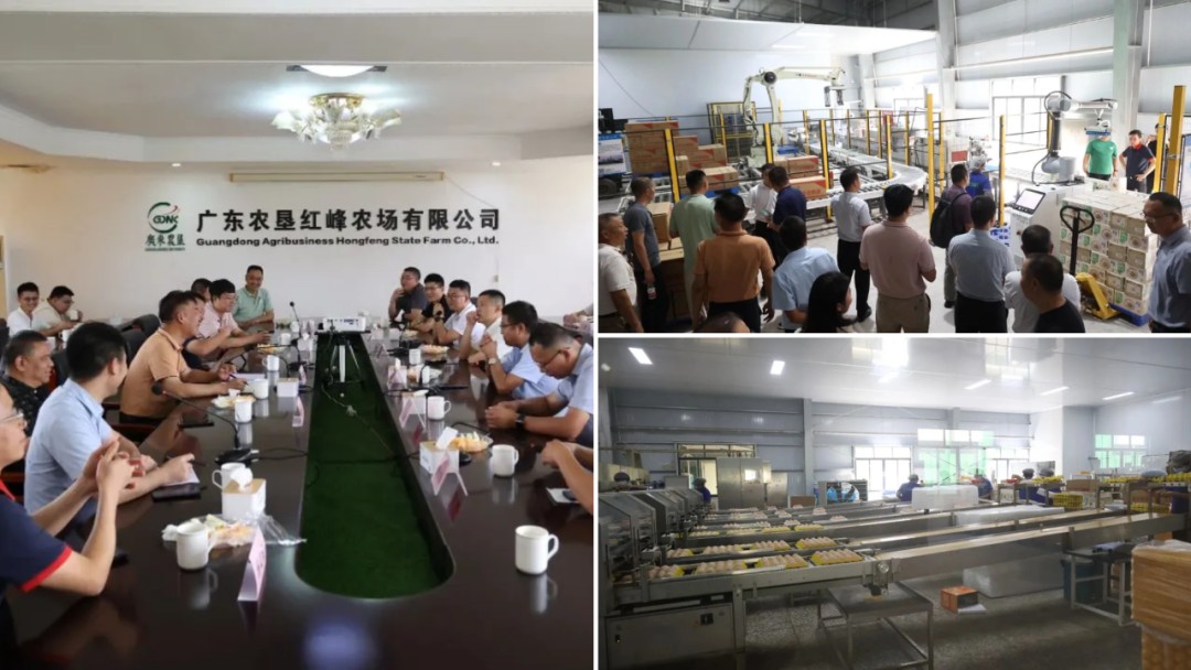 图片 76.jpg