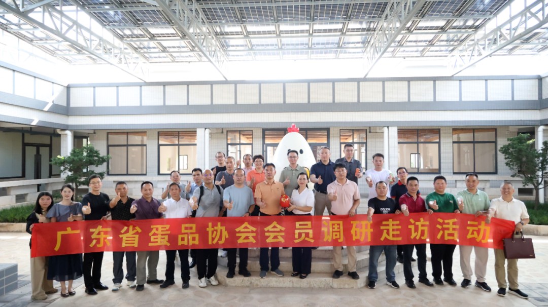 图片 77.jpg