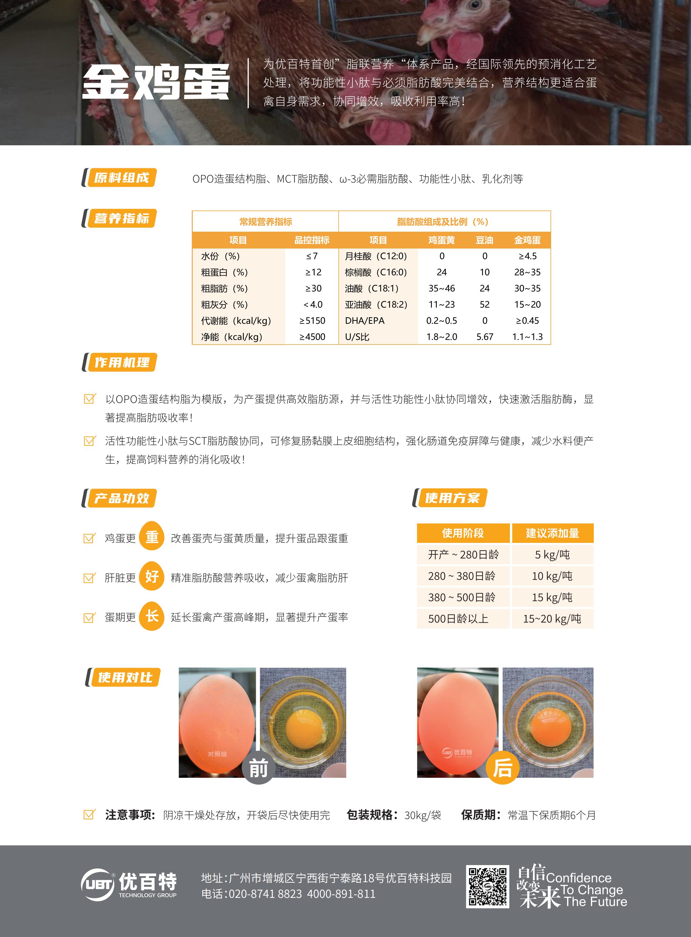 【说明书可打印】金鸡蛋（200g铜版纸 285cmx210 双面彩印 请裁切不留白边）_02.jpg